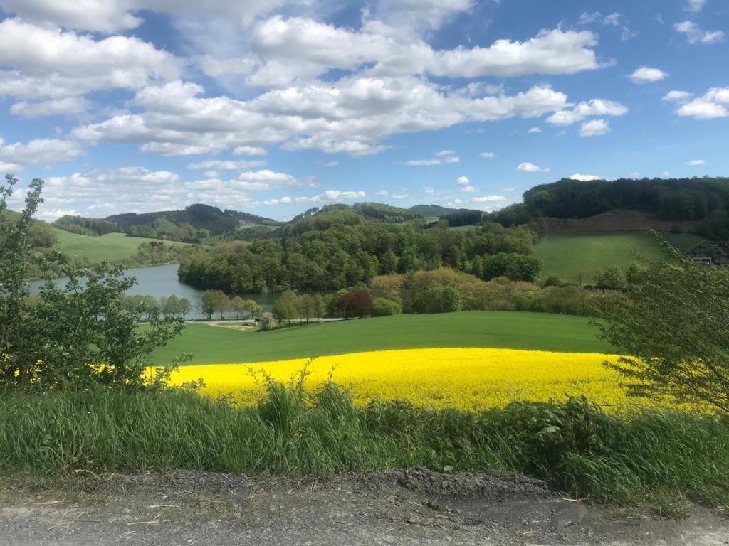 Haus Am Hennesee Villa Meschede Esterno foto